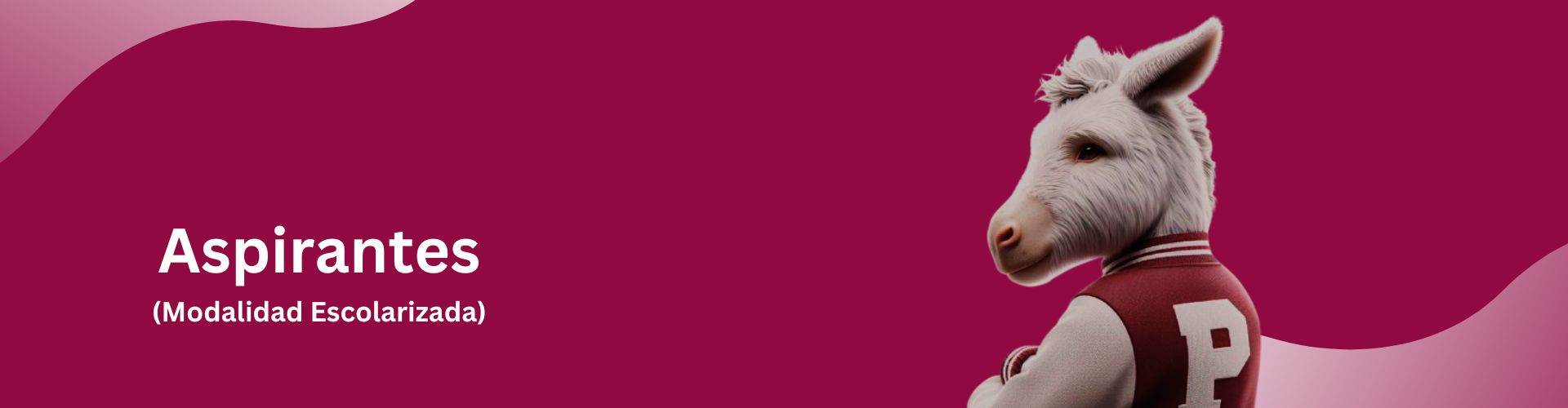 Aspirantes a ingresar al Nivel Medio Superior en el Cecyt No. 19 